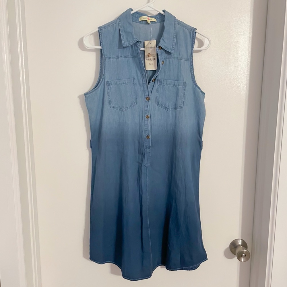 NWT Wishful Park Dress